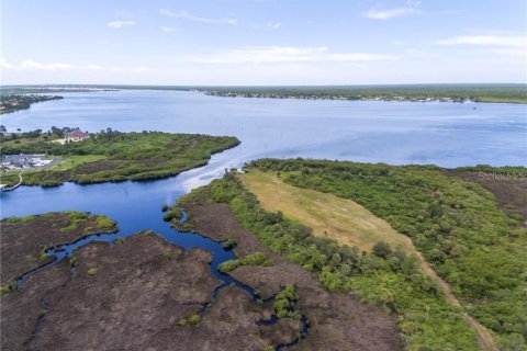 Купить земельный участок в Порт-Шарлотт, Флорида № 1761329 - фото 7