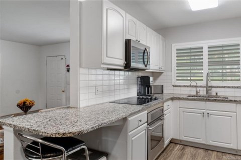 Villa ou maison à vendre à Inverness, Floride: 3 chambres, 131.18 m2 № 2091804 - photo 17