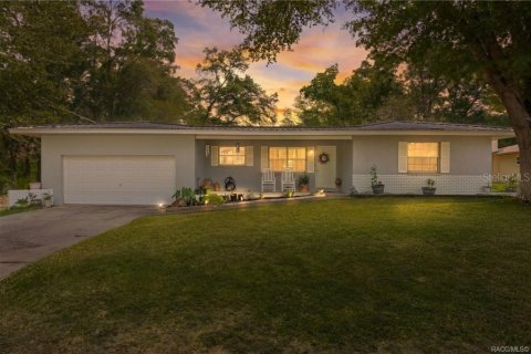 Villa ou maison à Inverness, Floride 3 chambres, 131.18 m2 № 2091804