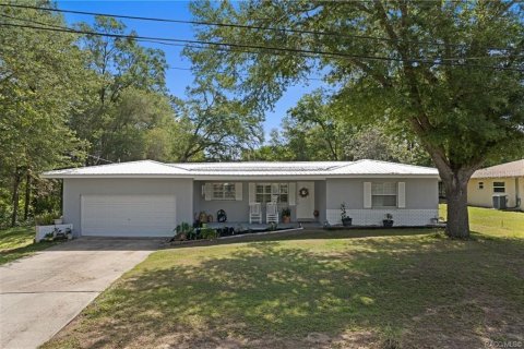 Villa ou maison à vendre à Inverness, Floride: 3 chambres, 131.18 m2 № 2091804 - photo 3