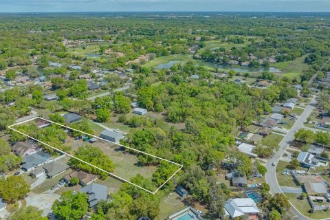 Villa ou maison à vendre à Sarasota, Floride: 4 chambres, 239.69 m2 № 2111678 - photo 6