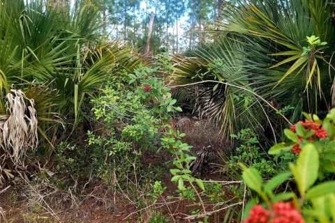 Land in Lehigh Acres, Florida № 2162374 - photo 3