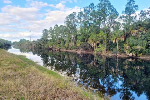 Land in Lehigh Acres, Florida № 2162374