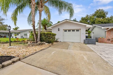 Villa ou maison à vendre à Oldsmar, Floride: 3 chambres, 142.42 m2 № 2405580 - photo 2