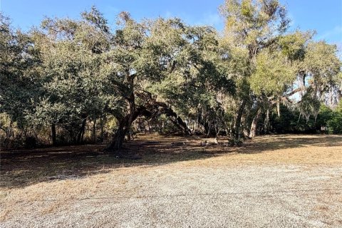 Terrain à Floral City, Floride № 2108940