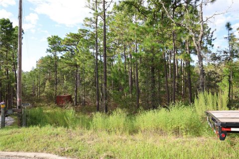 Terreno en venta en Hawthorne, Florida № 1913836 - foto 1