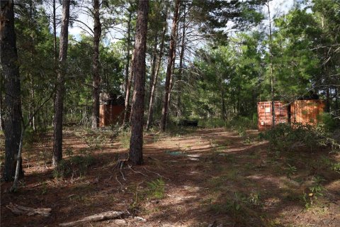 Terreno en venta en Hawthorne, Florida № 1913836 - foto 3