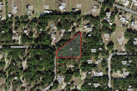 Land in Dunnellon, Florida № 2195387