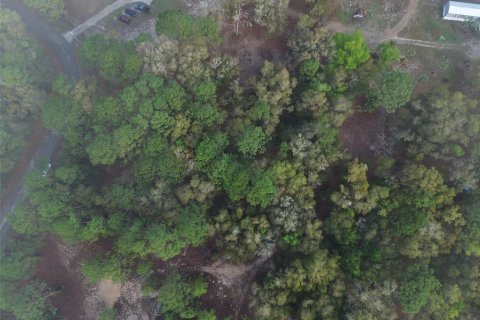 Land in Dunnellon, Florida № 2195387 - photo 2
