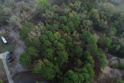 Land in Dunnellon, Florida № 2195387 - photo 3