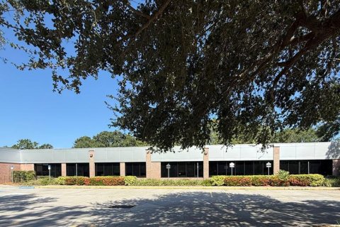 Commercial property in Tampa, Florida № 1895149 - photo 1