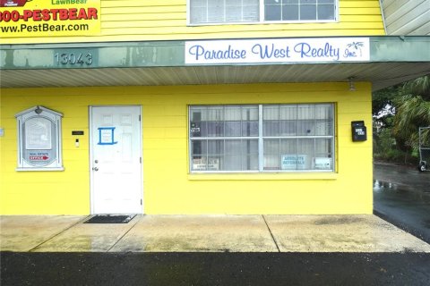 Immobilier commercial à louer à Hudson, Floride: 74.32 m2 № 2406378 - photo 2