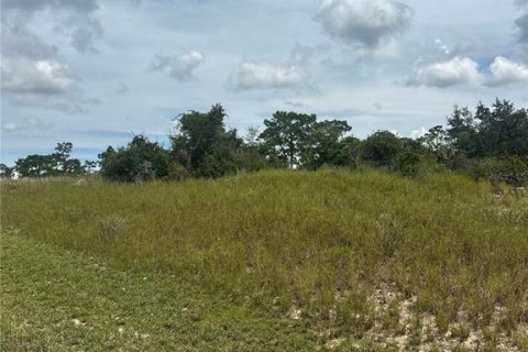 Land in Kissimmee, Florida № 2163081