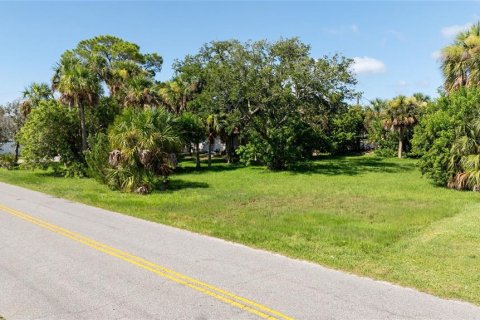 Terreno en venta en South Daytona, Florida № 2098711 - foto 11