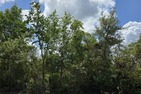 Land in Ocala, Florida № 1718285 - photo 3