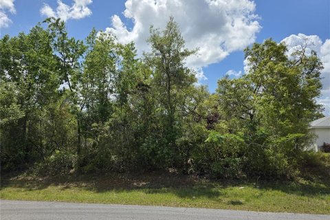 Land in Ocala, Florida № 1718285 - photo 1
