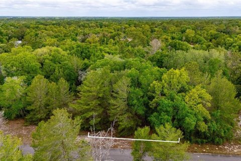 Land in Ocklawaha, Florida № 2161712 - photo 3