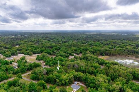 Land in Ocklawaha, Florida № 2161712 - photo 5