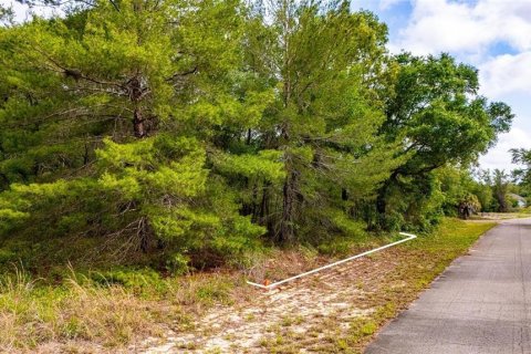 Land in Ocklawaha, Florida № 2161712 - photo 2