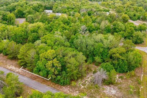 Land in Ocklawaha, Florida № 2161712 - photo 6