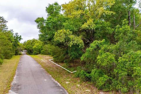 Land in Ocklawaha, Florida № 2161712 - photo 4