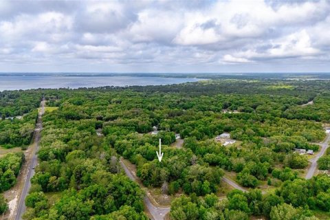 Land in Ocklawaha, Florida № 2161712 - photo 8