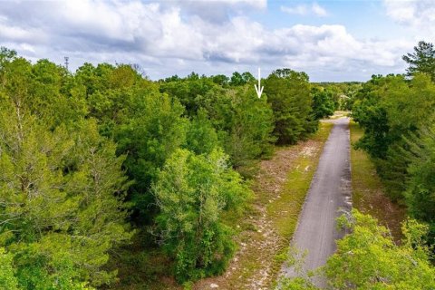 Land in Ocklawaha, Florida № 2161712 - photo 9