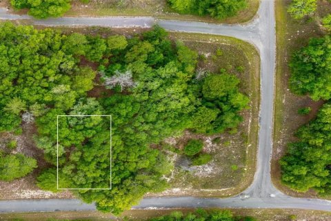 Land in Ocklawaha, Florida № 2161712