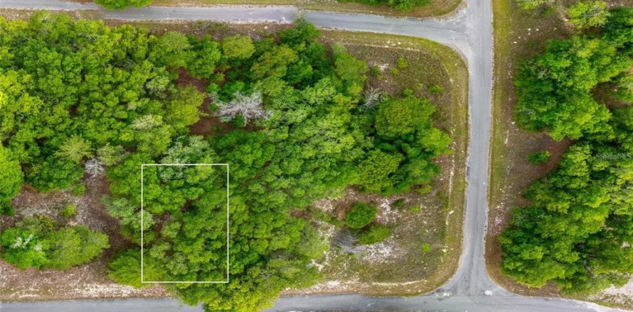 Land in Ocklawaha, Florida № 2161712