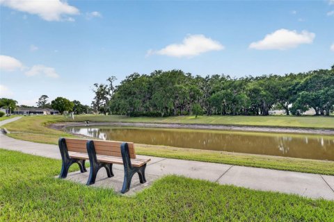 Villa ou maison à vendre à Lake Wales, Floride: 1 chambre, 60.2 m2 № 2217414 - photo 24