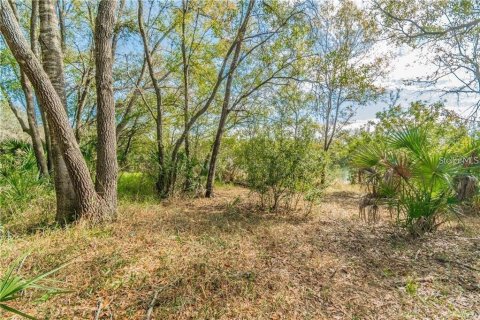 Terreno en venta en Hudson, Florida № 1744340 - foto 7