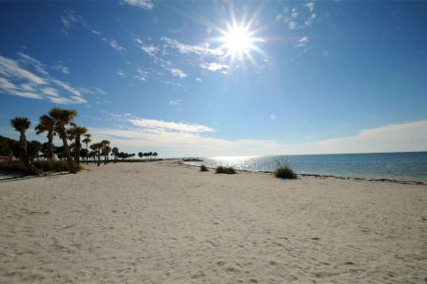 Land in Tarpon Springs, Florida № 1086150 - photo 26