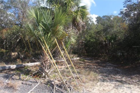 Land in Tarpon Springs, Florida № 1086150 - photo 17