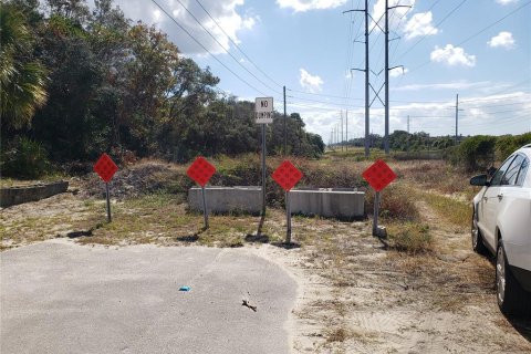 Land in Tarpon Springs, Florida № 1086150 - photo 13