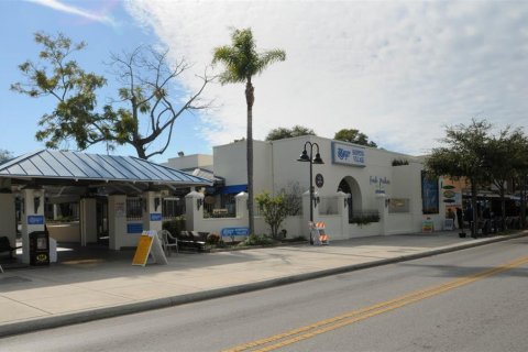 Land in Tarpon Springs, Florida № 1086150 - photo 5
