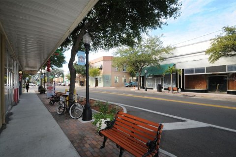 Land in Tarpon Springs, Florida № 1086150 - photo 24