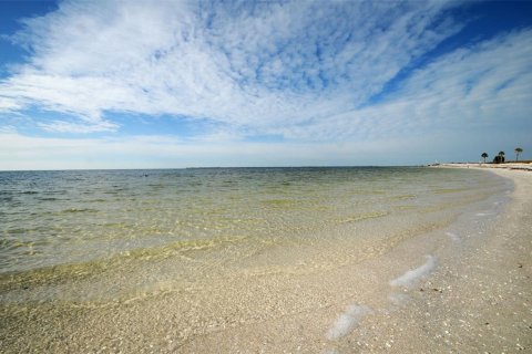 Land in Tarpon Springs, Florida № 1086150 - photo 28