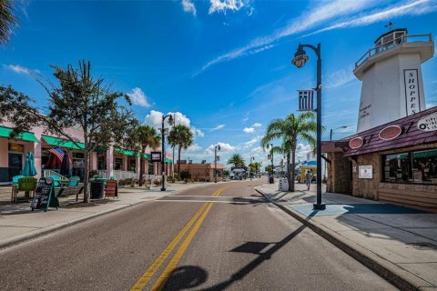 Land in Tarpon Springs, Florida № 1086150 - photo 29