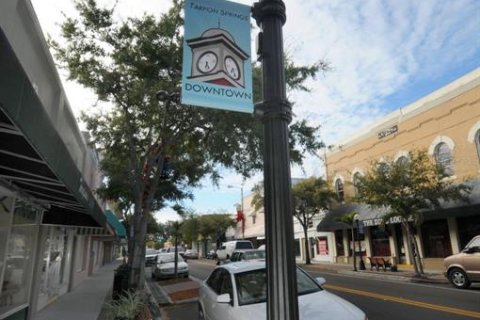 Land in Tarpon Springs, Florida № 1086150 - photo 22