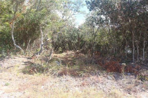 Land in Tarpon Springs, Florida № 1086150 - photo 18
