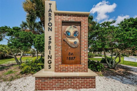 Land in Tarpon Springs, Florida № 1086150 - photo 21