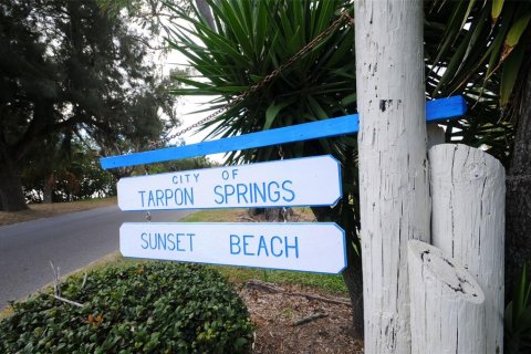 Land in Tarpon Springs, Florida № 1086150 - photo 11