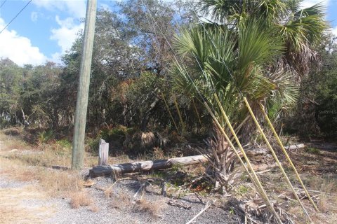 Land in Tarpon Springs, Florida № 1086150 - photo 16