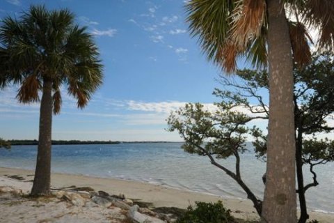 Land in Tarpon Springs, Florida № 1086150 - photo 10