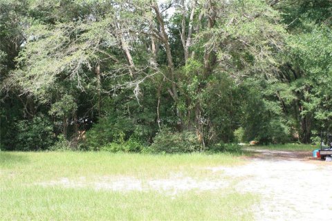 Villa ou maison à vendre à Archer, Floride: 3 chambres, 152.64 m2 № 1277039 - photo 24