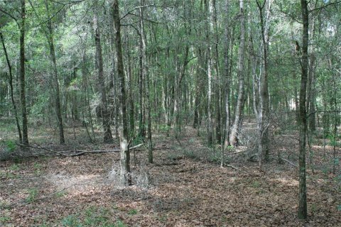 Villa ou maison à vendre à Archer, Floride: 3 chambres, 152.64 m2 № 1277039 - photo 21