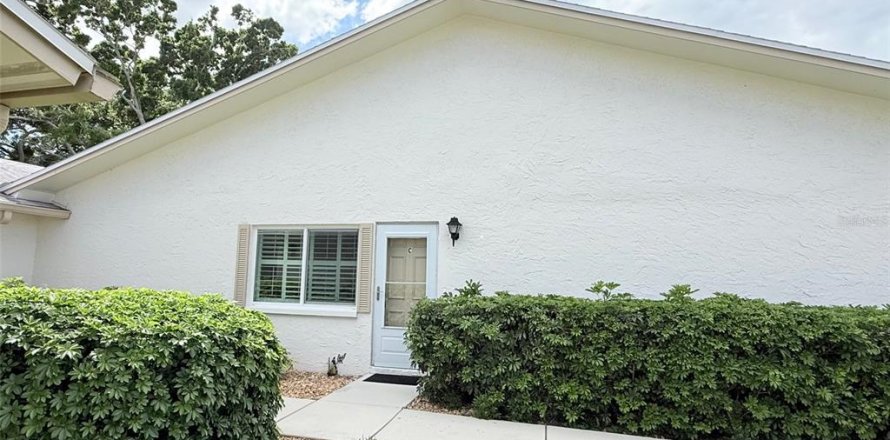 Studio à Condo à Saint Petersburg, Floride № 2147955