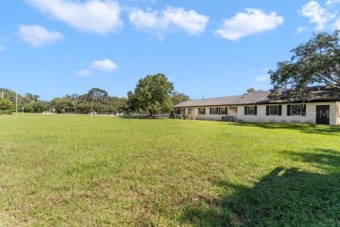 Immobilier commercial à vendre à Odessa, Floride: 527.22 m2 № 2425830 - photo 4