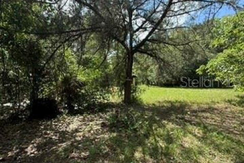 Land in Hawthorne, Florida № 2258673 - photo 17