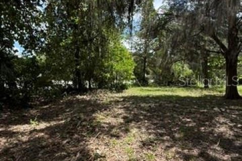Land in Hawthorne, Florida № 2258673 - photo 19